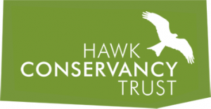 Hawk Conservancy Trust